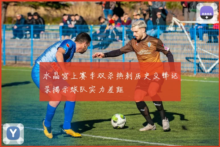 水晶宫上赛季双杀热刺历史交锋记录揭示球队实力差距