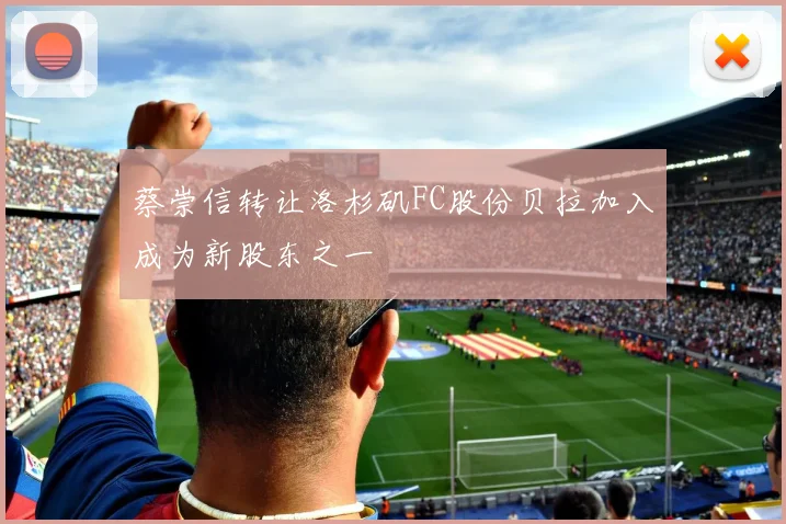 蔡崇信转让洛杉矶FC股份贝拉加入成为新股东之一