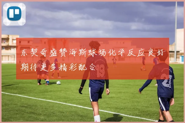 东契奇盛赞海斯球场化学反应良好期待更多精彩配合