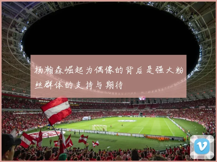 杨瀚森崛起为偶像的背后是强大粉丝群体的支持与期待