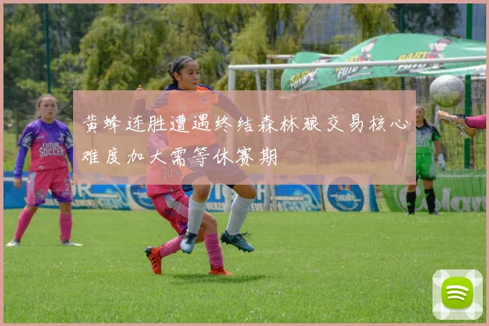 黄蜂连胜遭遇终结森林狼交易核心难度加大需等休赛期